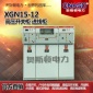 高压环网柜箱型固定式成套电气柜XGN15-12交流金属封闭开关设备